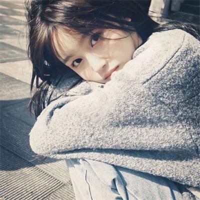 网红养成记国语